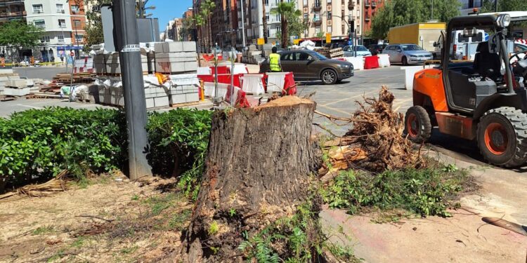 Los vecinos denuncian que las obras de Pérez Galdós y Giorgeta arrasan el arbolado