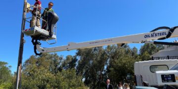 Valéncia refuerza la protección de sus murciélagos con la instalación de 80 refugios en la Devesa-Albufera