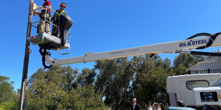 Valéncia refuerza la protección de sus murciélagos con la instalación de 80 refugios en la Devesa-Albufera