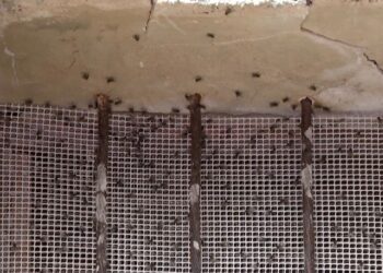 aa9bc02b bf6c 40e8 b0c0 0c850a13d8b7 16 9 aspect ratio 1600w 1008356