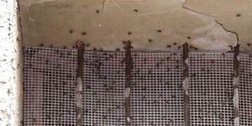 aa9bc02b bf6c 40e8 b0c0 0c850a13d8b7 16 9 aspect ratio 1600w 1008356