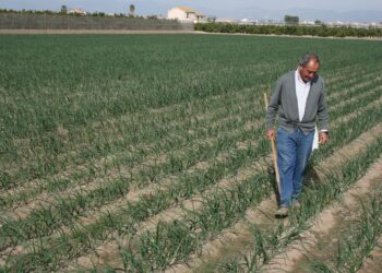 El campo valenciano estalla contra la "trampa burocrática" de las ayudas a los fertilizantes