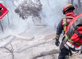 bb6ca2a6 4365 4274 bbef b60bde20c05b 16 9 aspect ratio 1600w 0