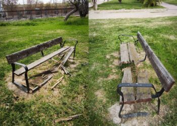 Los Parques de la Ciudad en estado lamentable: falta absoluta de mantenimiento en gran parte de la jardinería de Ciudad