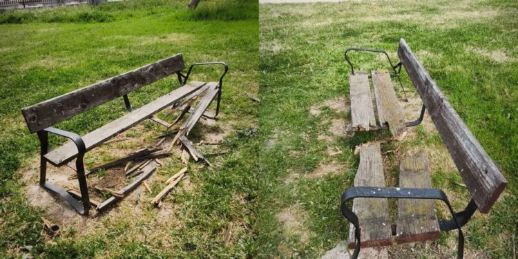 Los Parques de la Ciudad en estado lamentable: falta absoluta de mantenimiento en gran parte de la jardinería de Ciudad