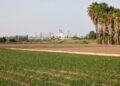 Valencia, seleccionada por Bloomberg Philanthropies para impulsar proyectos climáticos liderados por jóvenes
