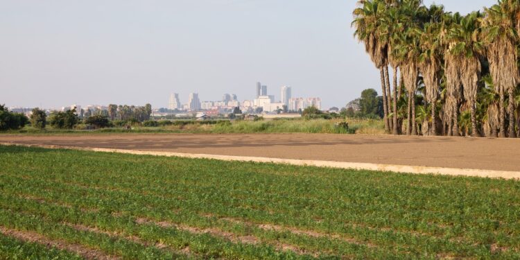 Valencia, seleccionada por Bloomberg Philanthropies para impulsar proyectos climáticos liderados por jóvenes