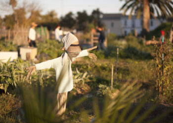 0525. Horts urbans. Foto ©Josep Gil. Visit Valencia