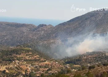 Controlados dos incendios forestales en Catral y Benissa tras una tarde de máxima tensión en Alicante 14 30760dbc 8471 4af7 b3aa 7bde702efc0f 16 9 aspect ratio 1600w 0