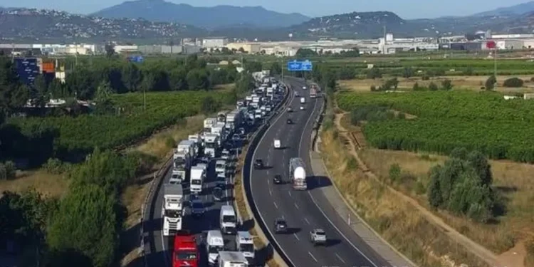 La Pista de Silla y el bypass de Valencia colapsan con más de diez kilómetros de retenciones en plena hora punta 1 57951739 eb86 4496 bebd 95bf6a24aae5 16 9 aspect ratio 1600w 0