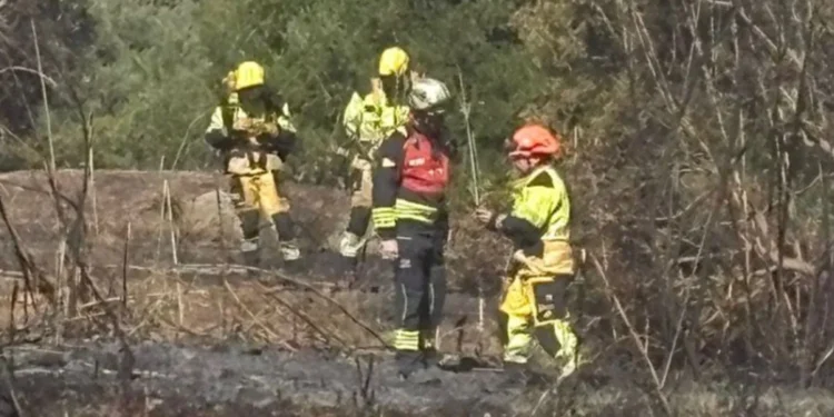 Estabilizado el incendio de vegetación declarado en Benidorm tras obligar al desalojo de varios vecinos 1 60e8bd49 913d 4ff7 9612 af885d0003c0 16 9 aspect ratio 1600w 0