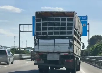 Interceptado en la A-7 un camión cargado de naranjas con 26 graves deficiencias técnicas que ponían en riesgo la seguridad vial