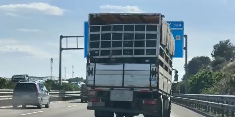 Interceptado en la A-7 un camión cargado de naranjas con 26 graves deficiencias técnicas que ponían en riesgo la seguridad vial