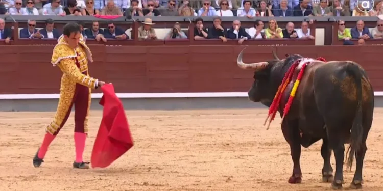 À Punt bate récords de audiencia con las retransmisiones taurinas y supera los 600.000 espectadores 1 A Punt bate records de audiencia con las retransmisiones taurinas y supera los 600.000 espectadores