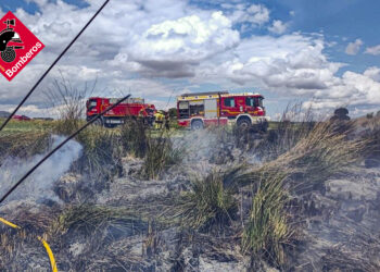 La rápida intervención de los bomberos evita un desastre forestal en la CV-656 en Villena