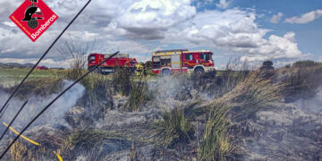 La rápida intervención de los bomberos evita un desastre forestal en la CV-656 en Villena