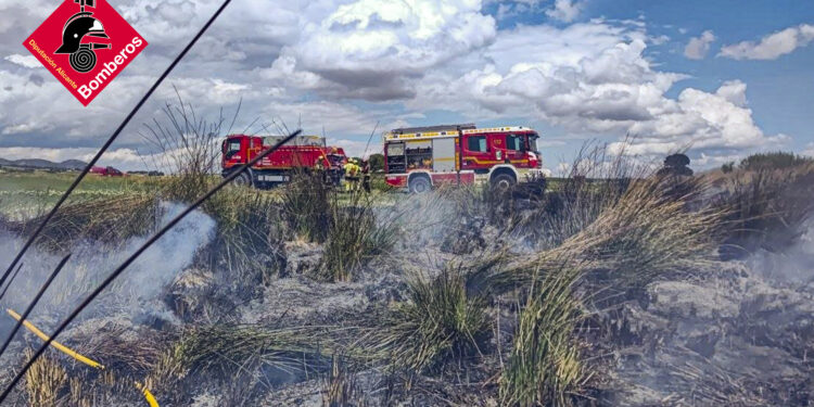 La rápida intervención de los bomberos evita un desastre forestal en la CV-656 en Villena