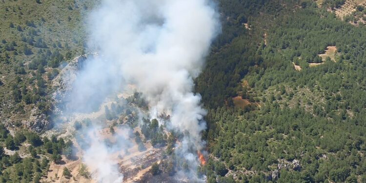 Un amplio dispositivo de emergencias continua sofocando las llamas en Benimantell aunque se da por estabilizado