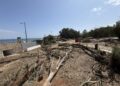 Salvemos Mojácar denuncia la tala de los últimos árboles de la playa y exige la paralización inmediata de las obras
