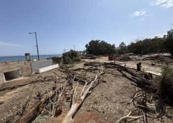 Salvemos Mojácar denuncia la tala de los últimos árboles de la playa y exige la paralización inmediata de las obras