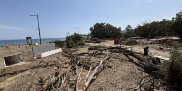 Salvemos Mojácar denuncia la tala de los últimos árboles de la playa y exige la paralización inmediata de las obras