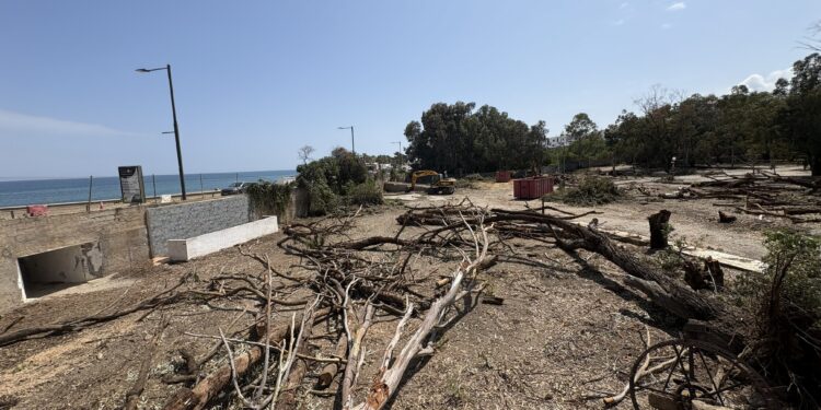 Salvemos Mojácar denuncia la tala de los últimos árboles de la playa y exige la paralización inmediata de las obras