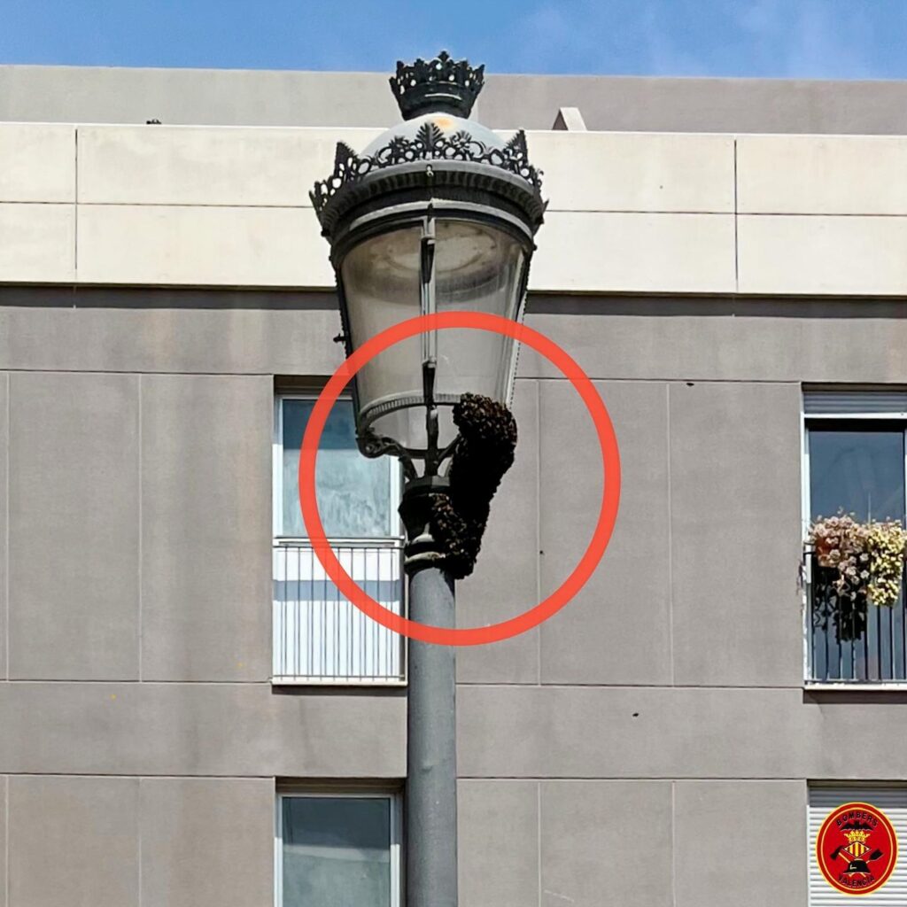 Los bomberos de Valencia realizan mas de una intervencion diaria para retirar enjambres 2