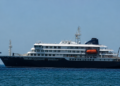 Qué es el hantavirus y por qué preocupa tras el brote en un crucero: síntomas, contagio y claves