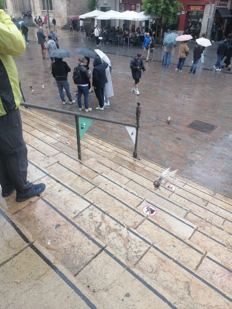 Resbalones charcos y riesgo de caidas en el Mercado Central de Valencia tras las lluvias 1
