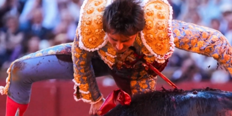 Roca Rey y Morante reaparecen en Jerez tras sus durisimas cogidas en Sevilla 5