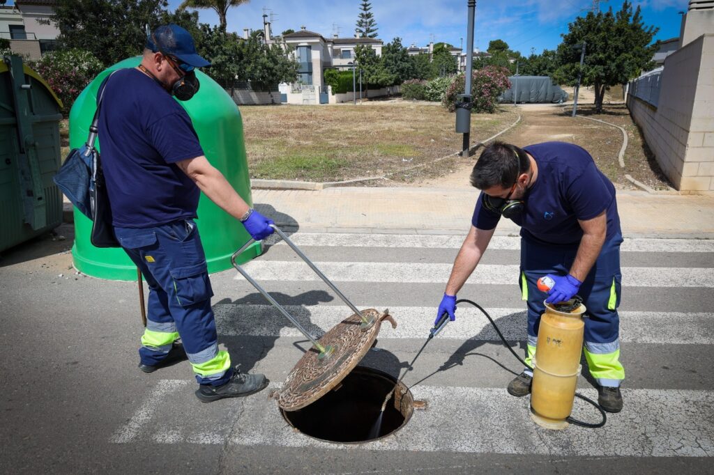 Torrent intensifica el tratamiento del alcantarillado para prevenir plagas de cucarachas y roedores 1