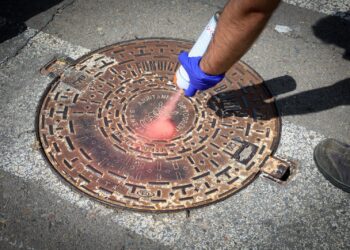 Torrent intensifica el tratamiento del alcantarillado para prevenir plagas de cucarachas y roedores