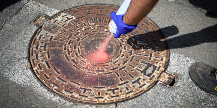 Torrent intensifica el tratamiento del alcantarillado para prevenir plagas de cucarachas y roedores