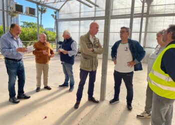 Valencia reabre los huertos urbanos de Sociópolis tras las actuaciones de seguridad y acondicionamiento