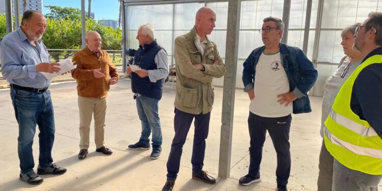 Valencia reabre los huertos urbanos de Sociópolis tras las actuaciones de seguridad y acondicionamiento