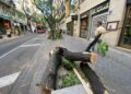 El PSPV denuncia una "tala indiscriminada" de árboles en la calle San Vicente