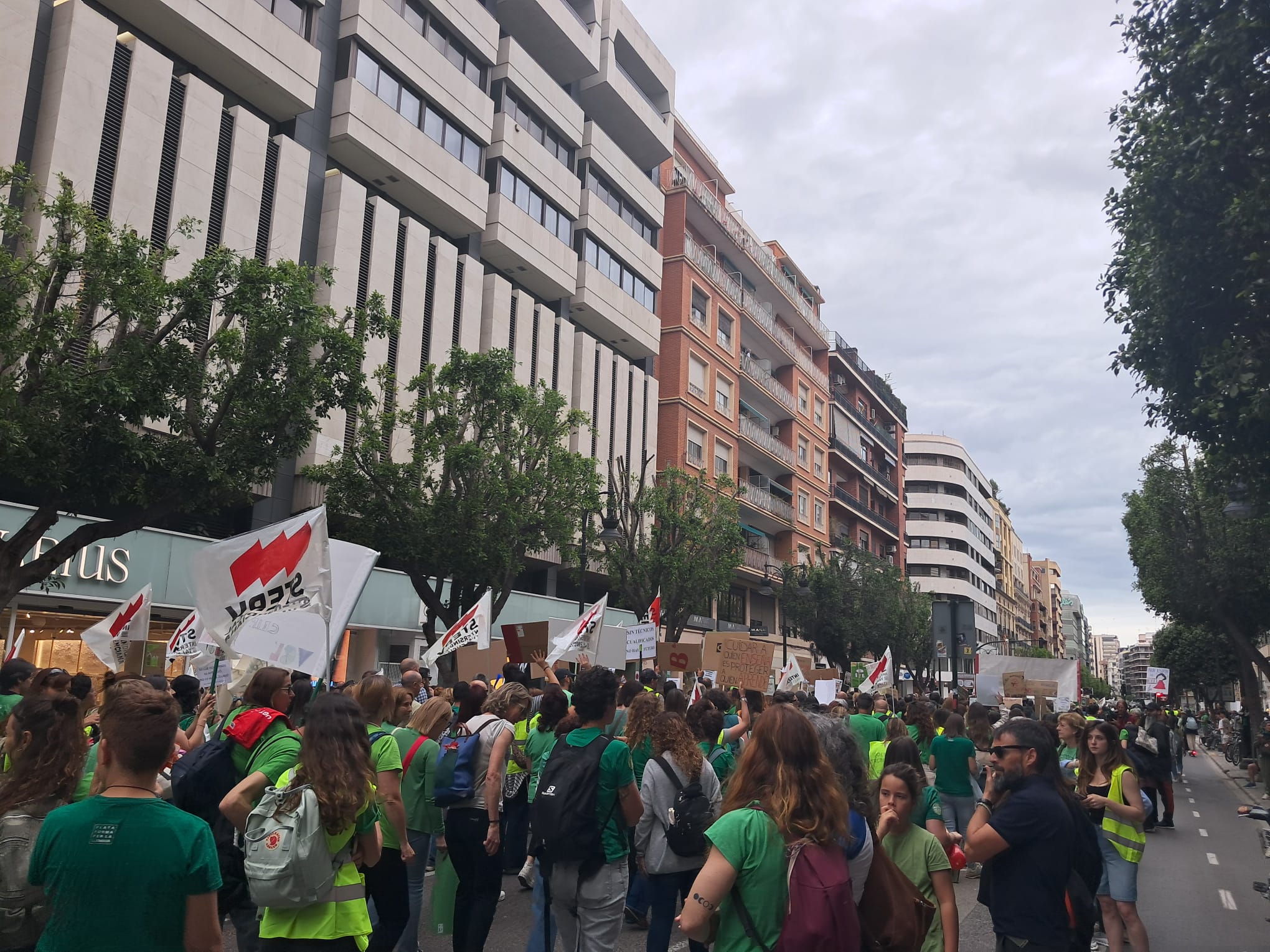 Marea Humana en Valencia: La Educación Pública Desborda la Capital en una manifestación desbordada 4 WhatsApp Image 2026 05 16 at 18.19.31
