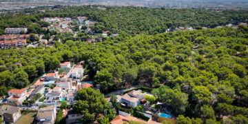 El Ayuntamiento de Torrent adjudica la renovación del alumbrado en la Avenida al Vedat y Santa Apolonia por cerca de 300.000 euros