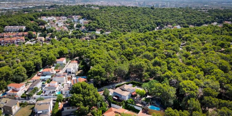 El Ayuntamiento de Torrent adjudica la renovación del alumbrado en la Avenida al Vedat y Santa Apolonia por cerca de 300.000 euros 1 El Ayuntamiento de Torrent adjudica la renovación del alumbrado en la Avenida al Vedat y Santa Apolonia por cerca de 300.000 euros
