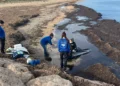 Encuentran un delfín muerto en avanzado estado de descomposición en una playa de Sagunto 10 Encuentran un delfín muerto en avanzado estado de descomposición en una playa de Sagunto