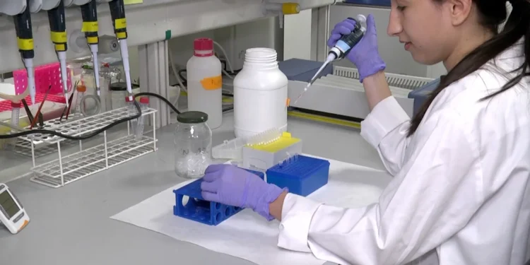 Un estudio de la UMH identifica un gen clave en la metástasis del cáncer de mama