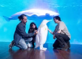 OceanFest convierte Valencia en una ventana al Ártico y la Antártida con arte, ciencia y conciencia ambiental