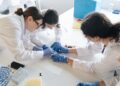 La FP valenciana estrenará 19 nuevos ciclos formativos y ampliará la modalidad semipresencial en el curso 2026-2027