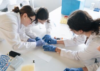 La FP valenciana estrenará 19 nuevos ciclos formativos y ampliará la modalidad semipresencial en el curso 2026-2027