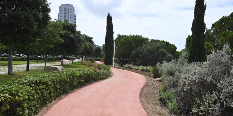 0626 Carril running Jardi del Turia web