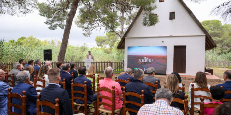 La Generalitat e Iberdrola soterrarán cinco kilómetros de líneas eléctricas en l'Albufera tras una inversión de 187 millones para sanearla de la #DANA