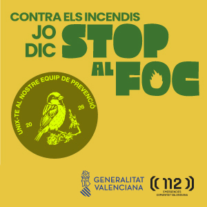 300X300 VAL copia