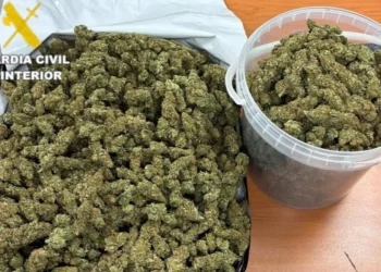 Cuatro detenidos en Vall d'Alba por presunto tráfico de drogas: la Guardia Civil interviene tres kilos de marihuana 14 4bac4e31 5dd4 4206 9444 41b344c4f395 16 9 aspect ratio 1600w 0