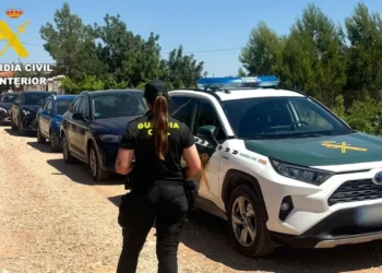 Desmantelada en Montroi una trama que ocultaba coches de lujo para venderlos de forma fraudulenta 14 Desmantelada en Montroi una trama que ocultaba coches de lujo para venderlos de forma fraudulenta