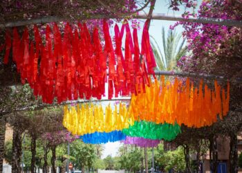 Torrent conmemorará el 28J con una semana de actividades dedicadas a la igualdad, el respeto y la diversidad 14 Torrent conmemorará el 28J con una semana de actividades dedicadas a la igualdad, el respeto y la diversidad